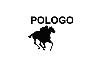 POLO GO